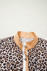 Multicolour Button Striped Collar Leopard Print Long Sleeve Flared Mini Dress