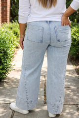 Beau Blue Paneling Wide Leg Plus Size Jeans