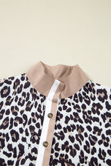 Multicolour Button Striped Collar Leopard Print Long Sleeve Flared Mini Dress